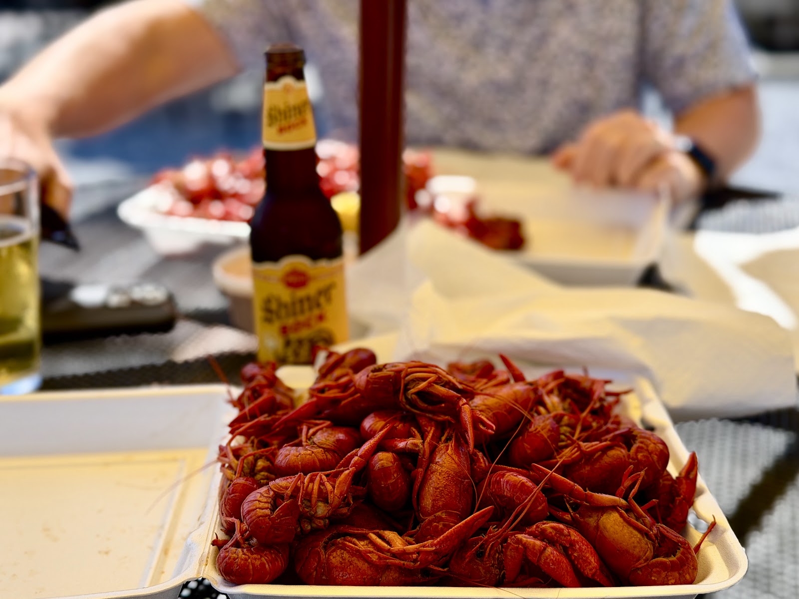 Bayou Beer Garden, New Orleans