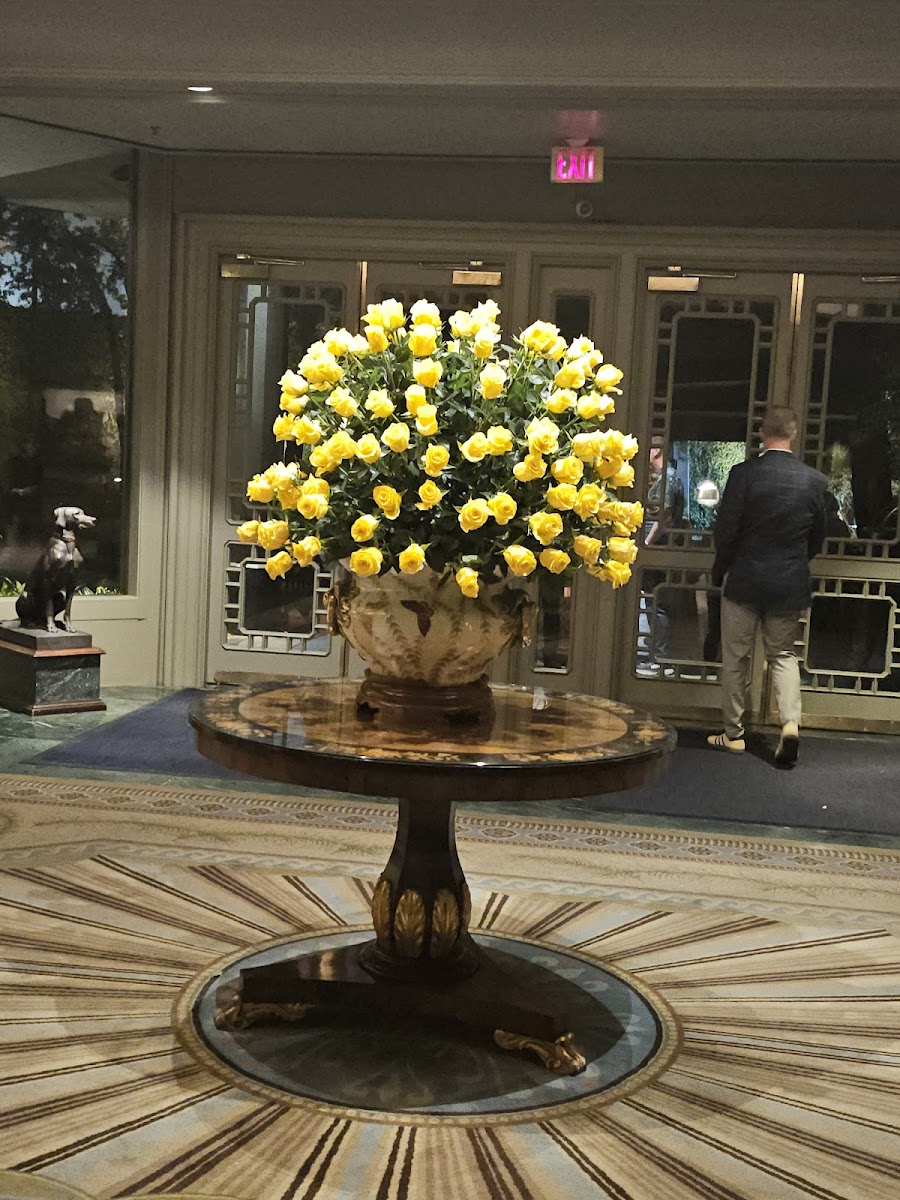 Polo Club Lounge, New Orleans