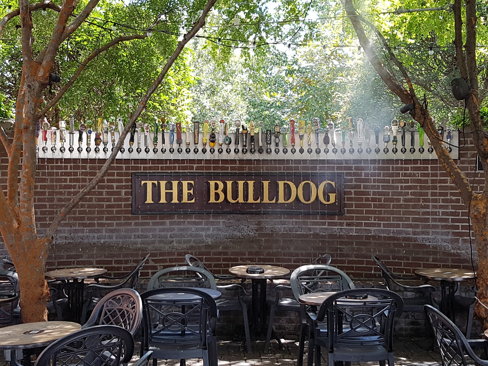 The Bulldog Uptown, New Orleans