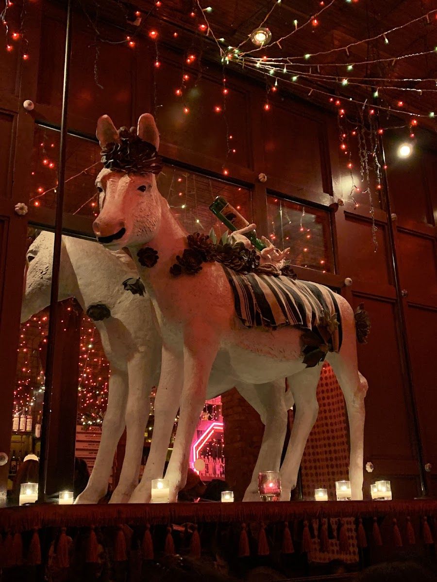 Ghost Donkey, New York
