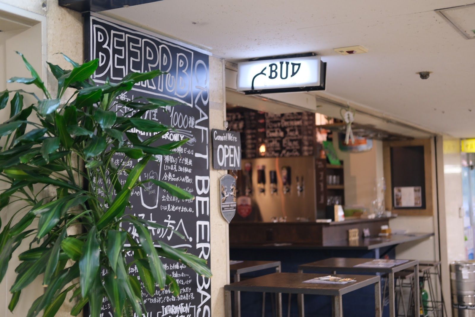 Craft Beer Base interior