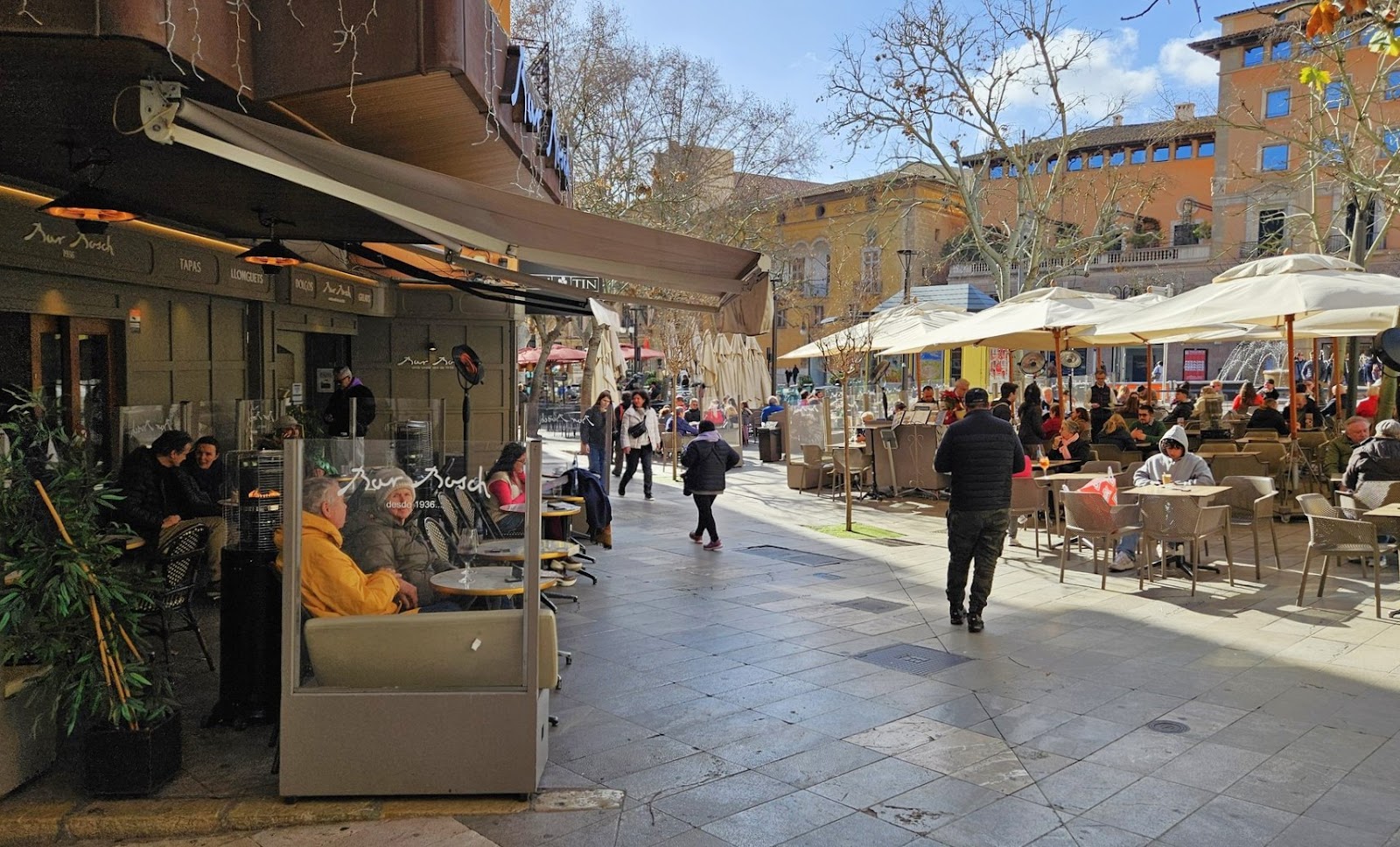 Bar Bosch, Palma