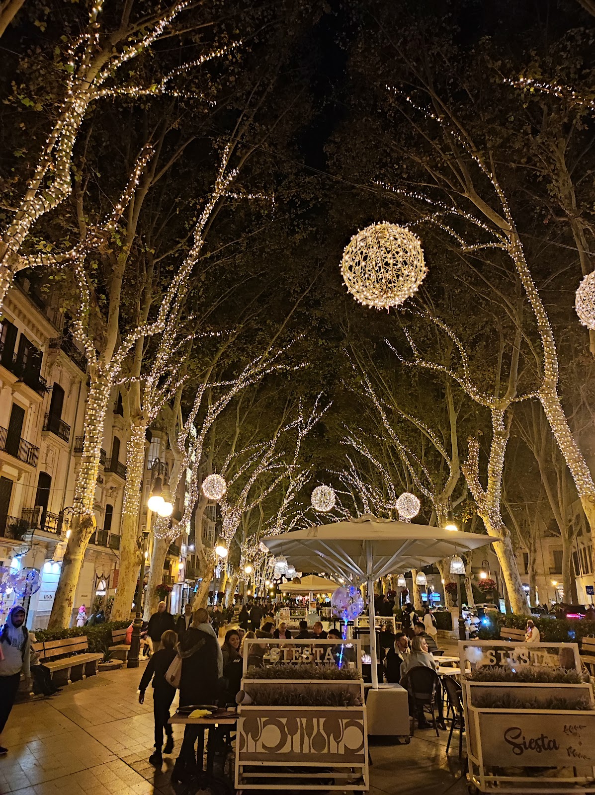 Bar Bosch, Palma