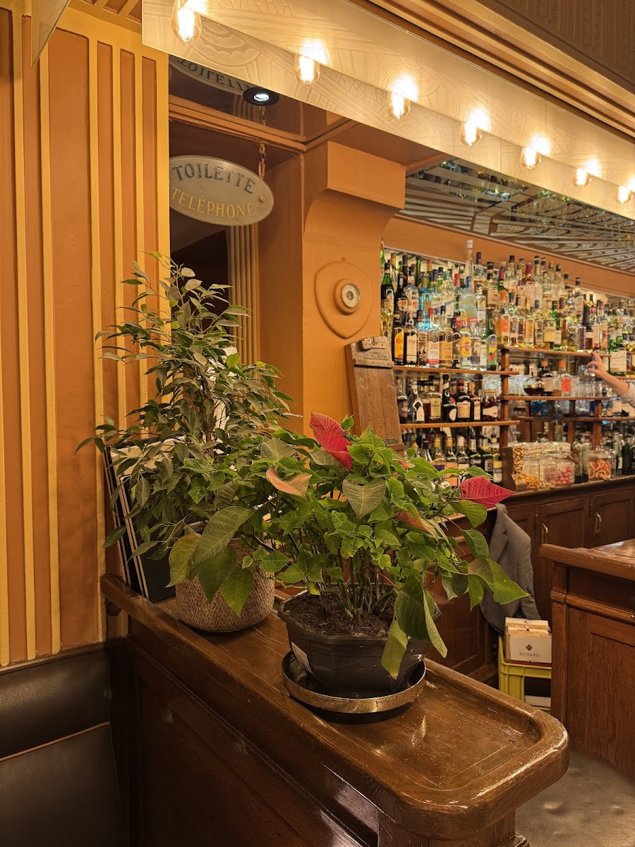 Le Select, Paris