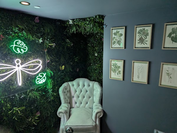Terrarium in Perth