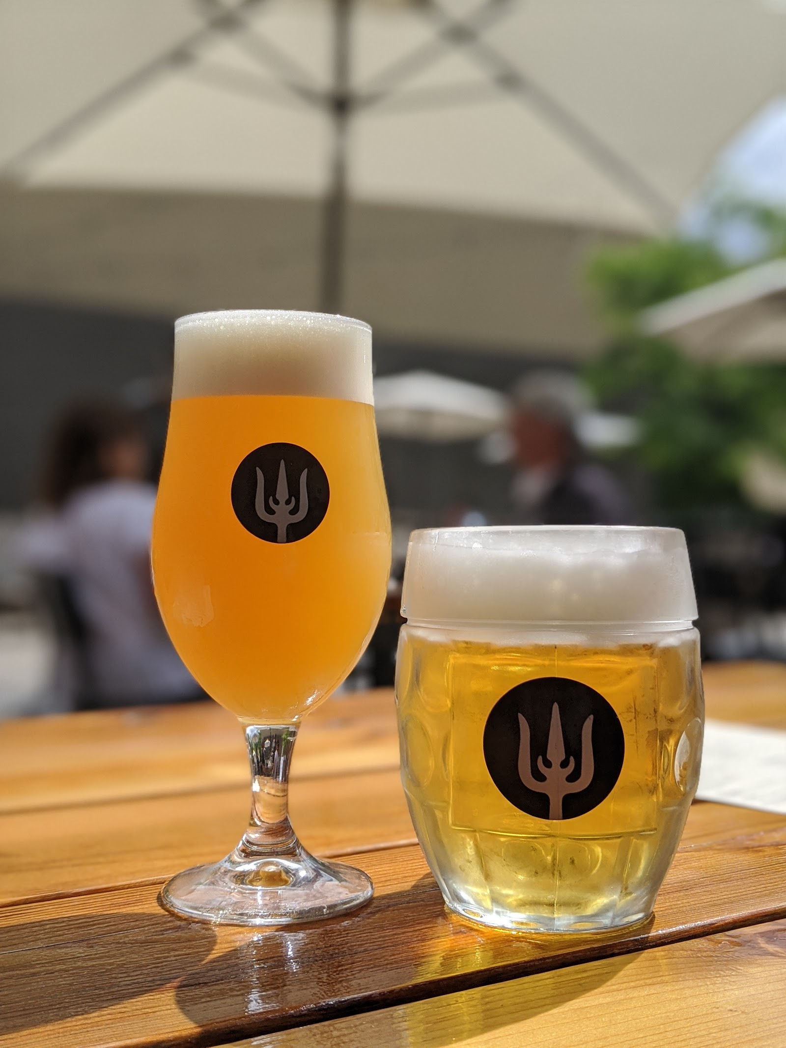 Fresh lager poured at Wayfinder Beer in Portland