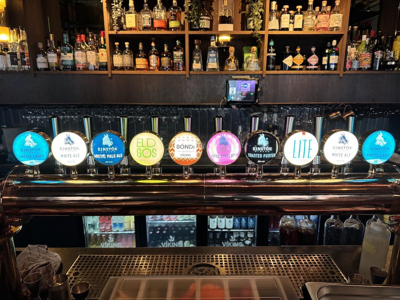 Einst&ouml;k Bar in Reykjavik