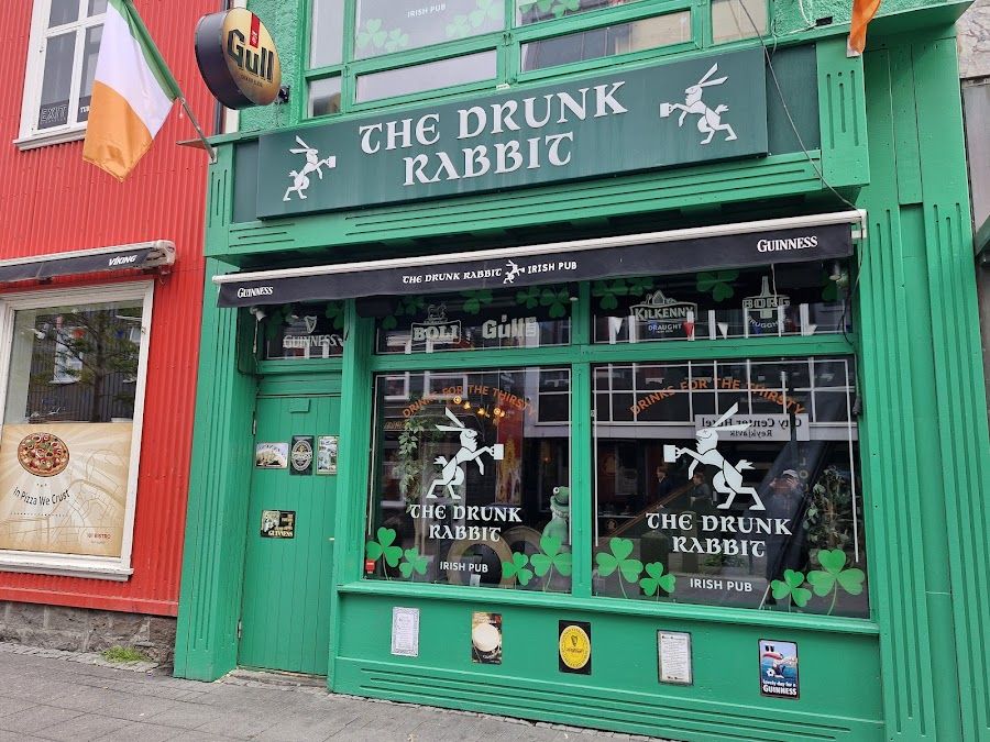 The Drunk Rabbit, Reykjavik