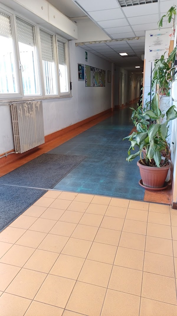 Bar del Fico