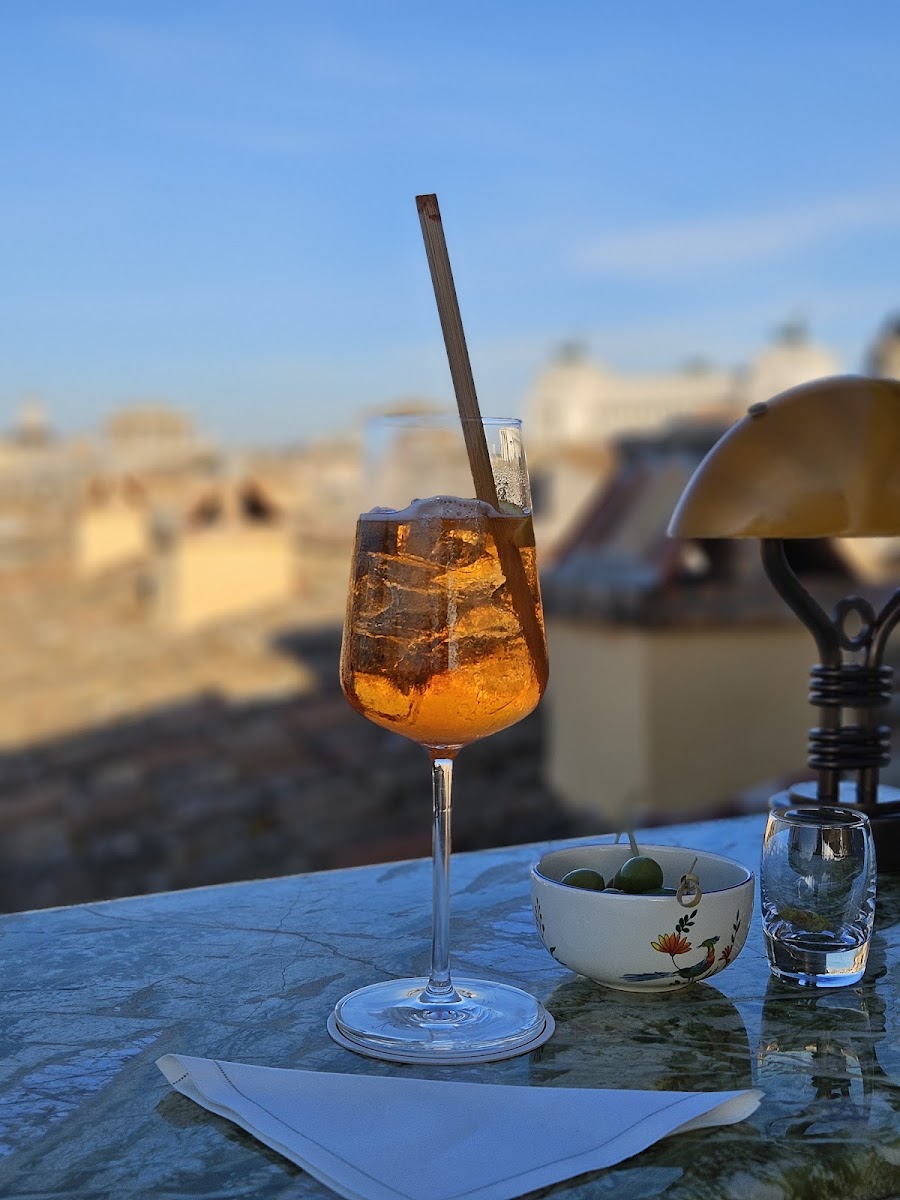 Minerva Roof Garden drinks, Rome