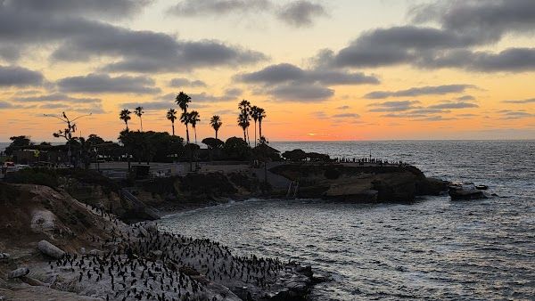Surf Rider Pizza Co Rooftop