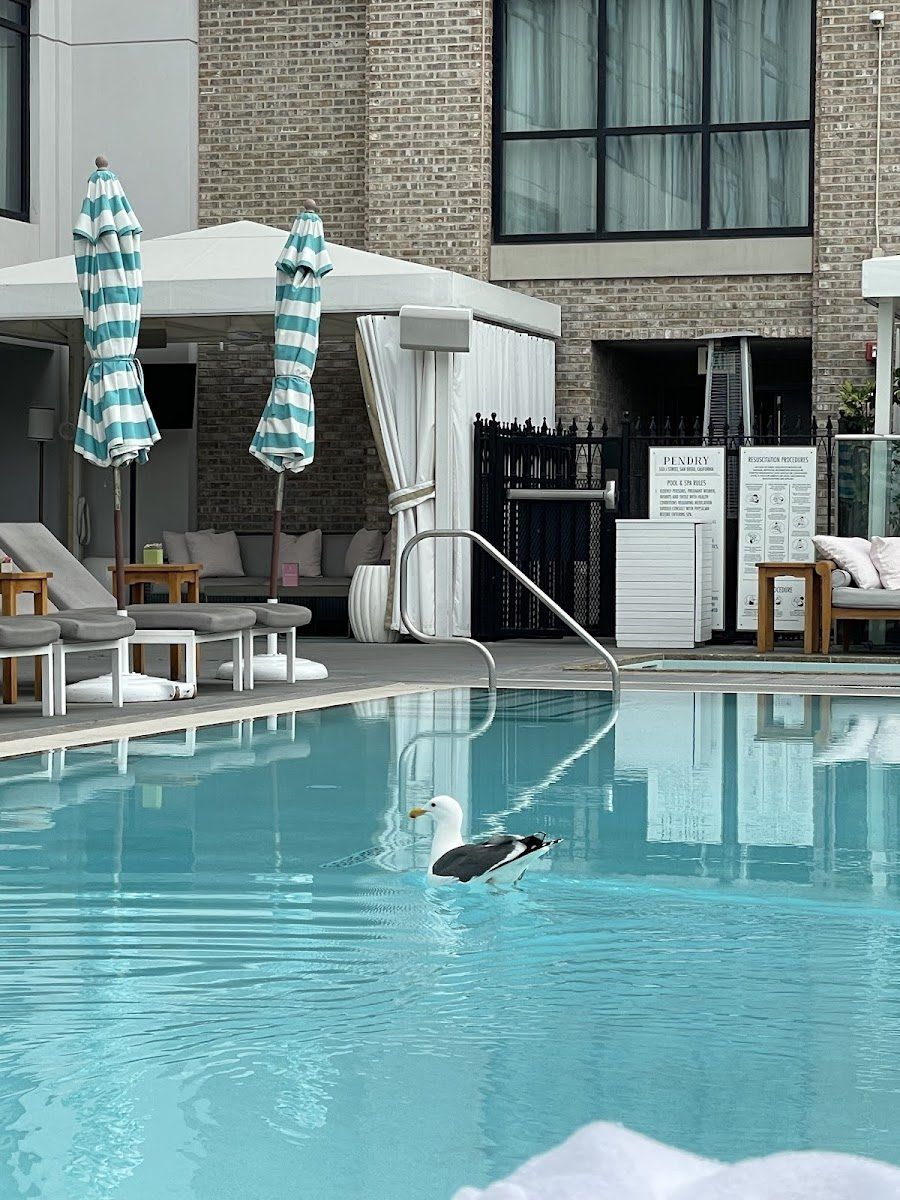Pool Lounge, San Diego