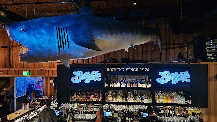 The Belly Up Tavern, San Diego