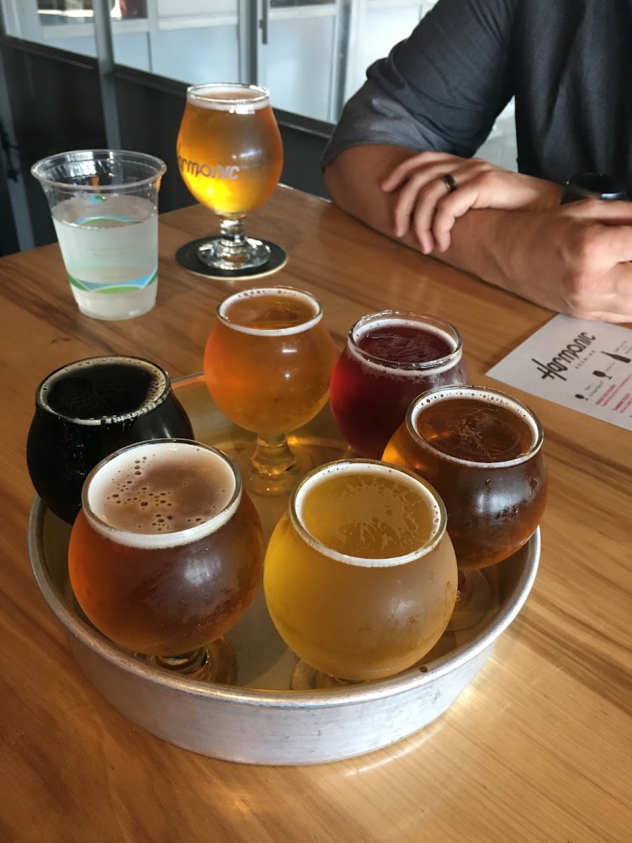 Harmonic Brewing, San Francisco