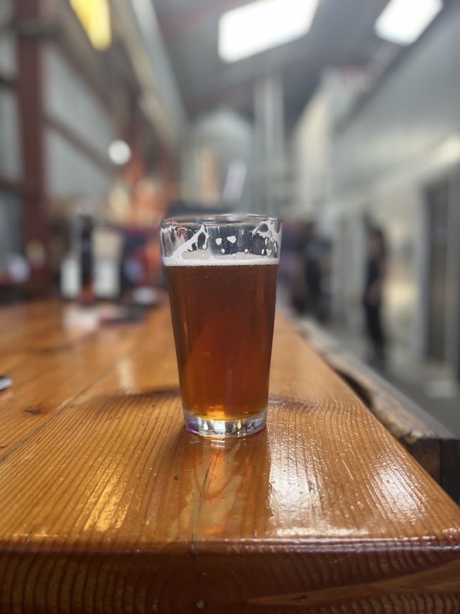House IPA poured at a San Francisco Mission District brewery