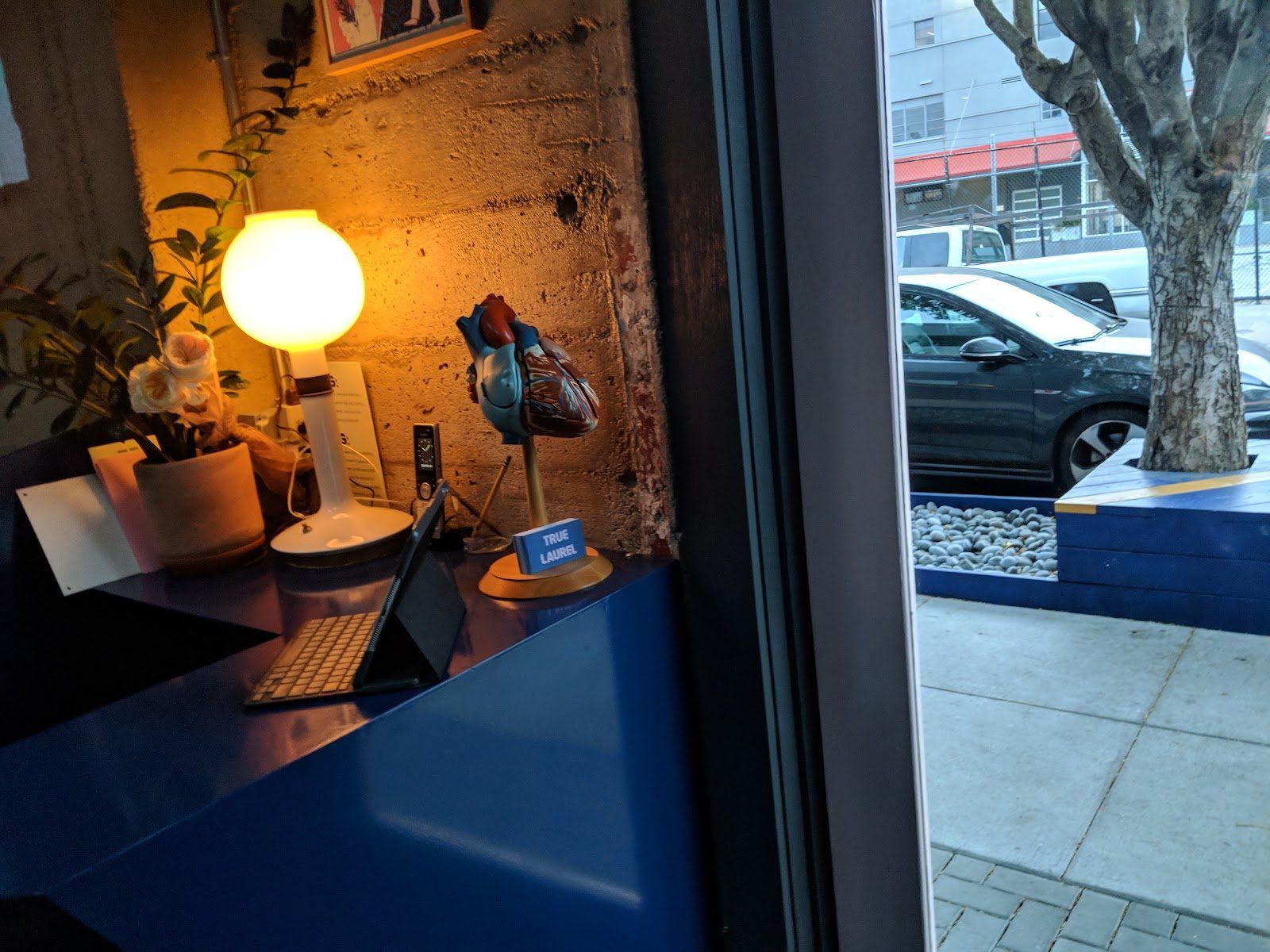 True Laurel, San Francisco