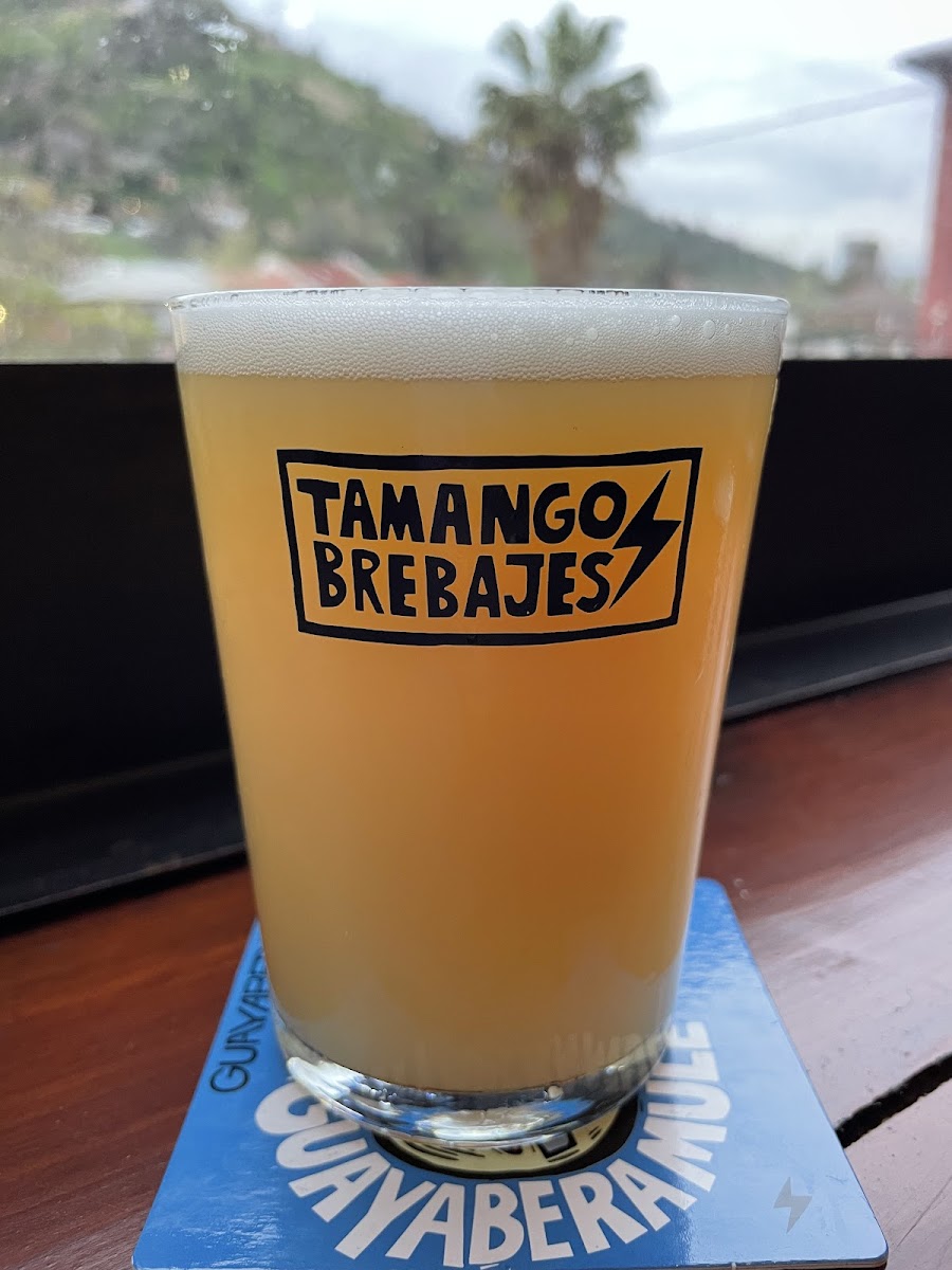 Tamango House of Beer, Santiago