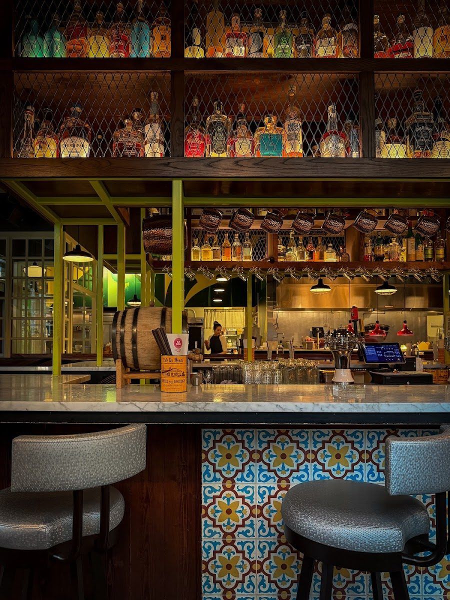 Shanik Bar, Seattle