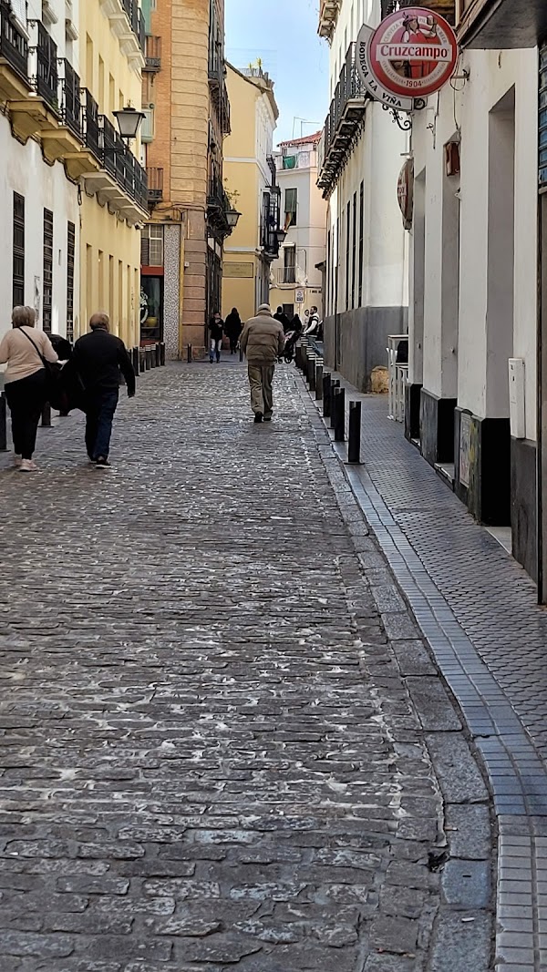 Gallo Rojo in Seville