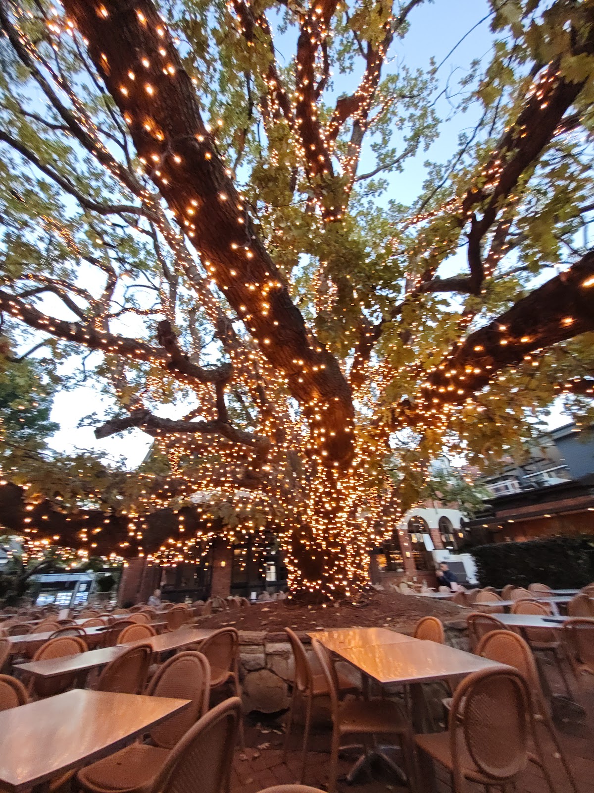 The Oaks Hotel, Sydney