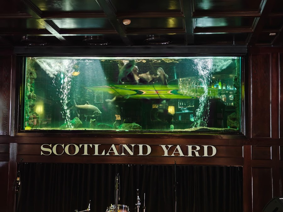Scotland Yard, Tallinn