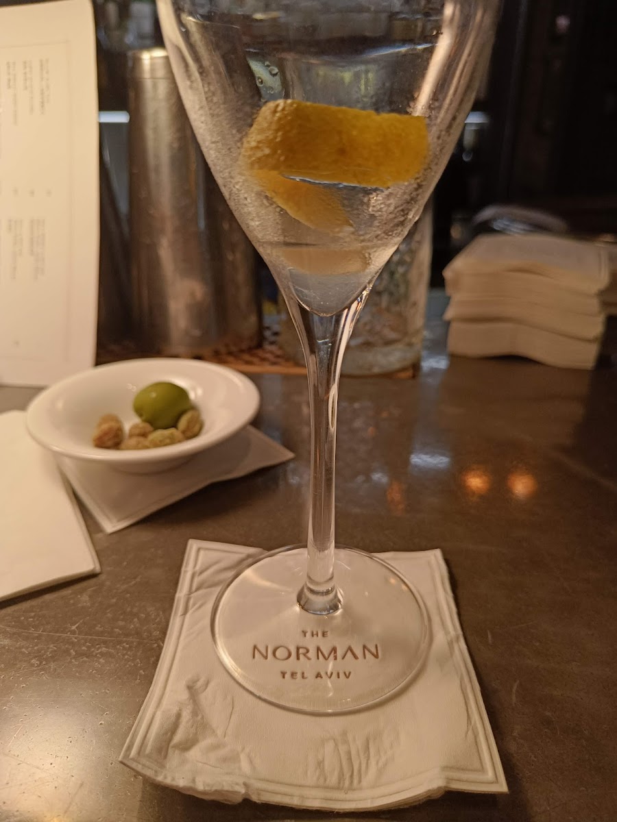 Cocktails at The Library Bar, The Norman Tel Aviv