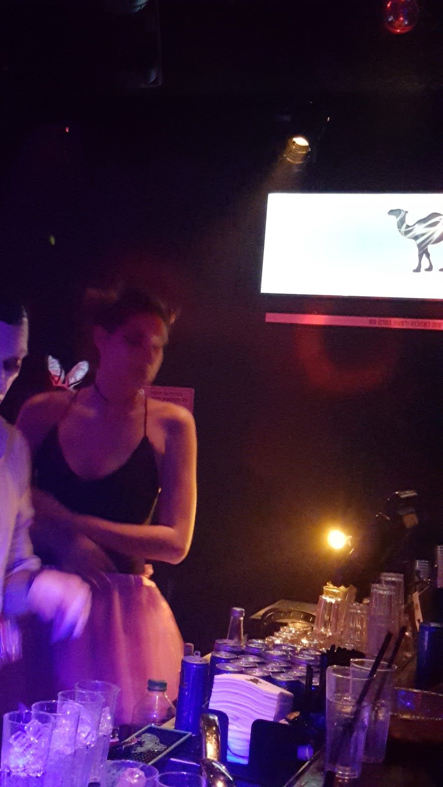 The Cat and The Dog, Tel Aviv