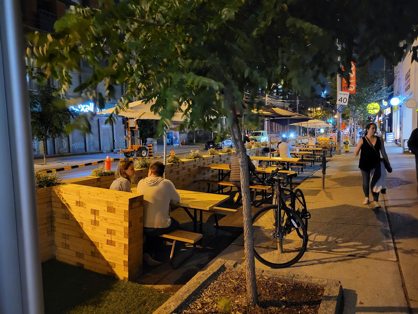 The Dog &amp; Bear Pub, Toronto