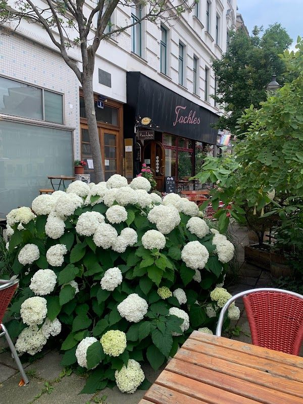 Cafe Landtmann