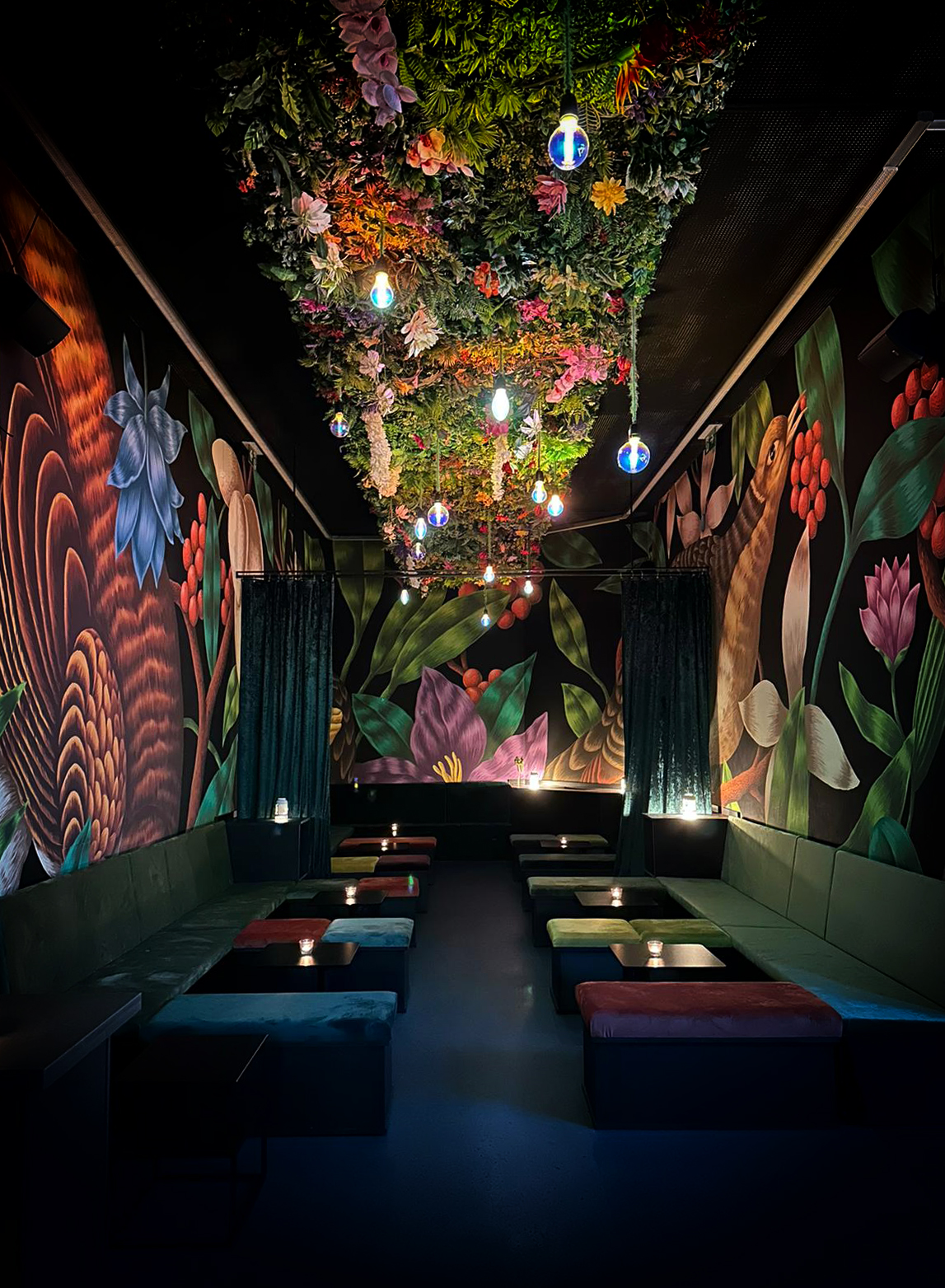 The BirdYard, Vienna
