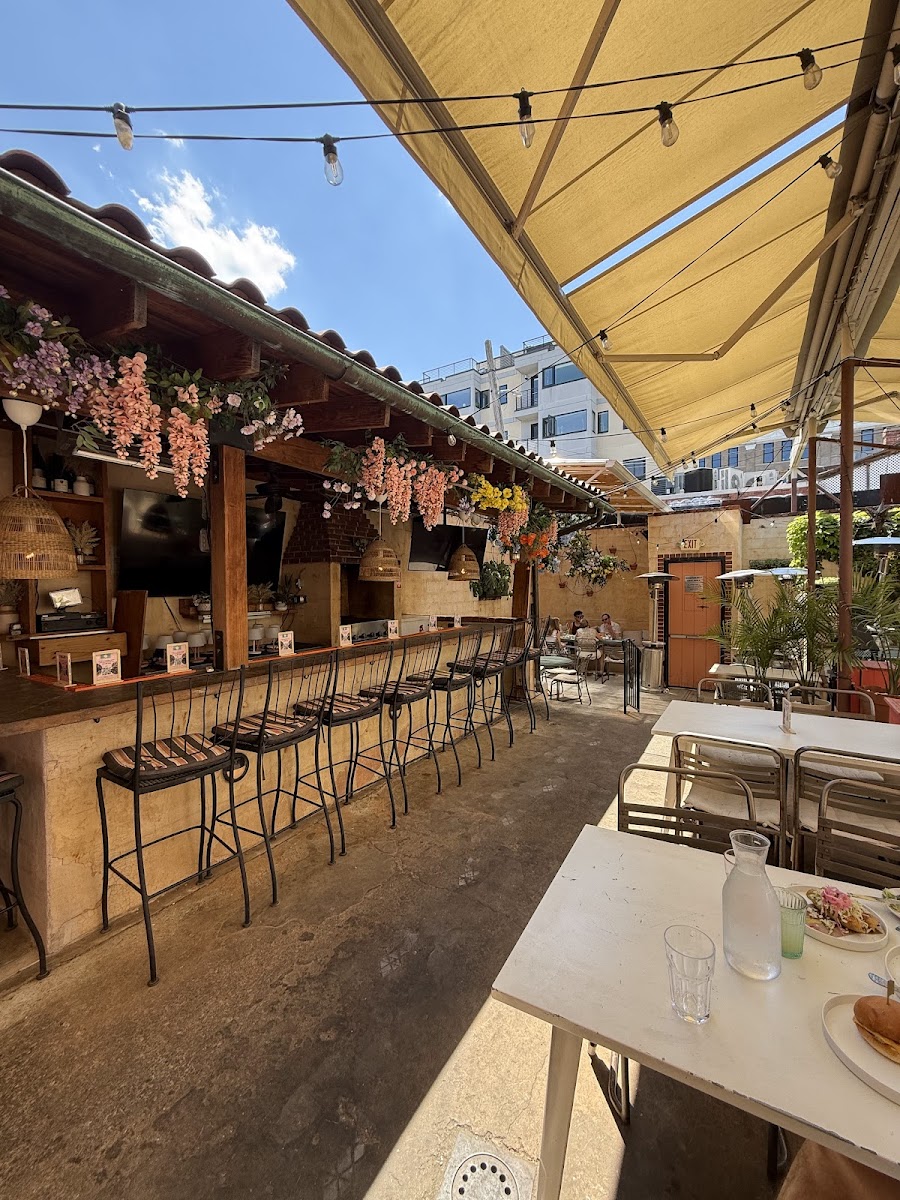 Lulu's Winegarden, Washington Dc